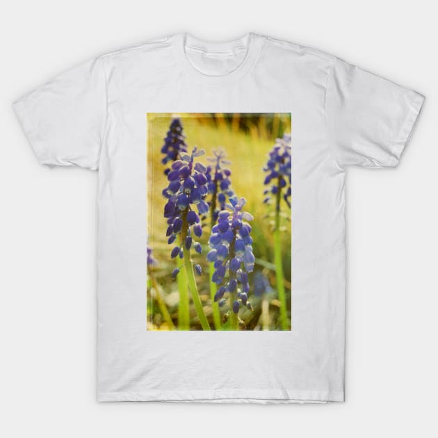 Spring Garden T-Shirt by rosedew